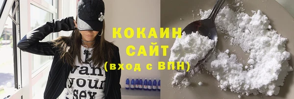 винт Богданович