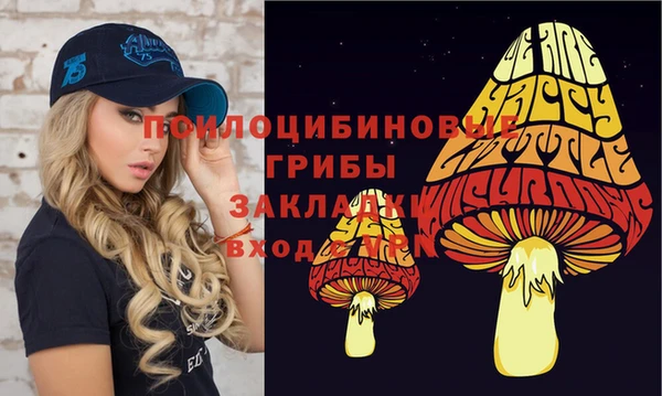 винт Богданович